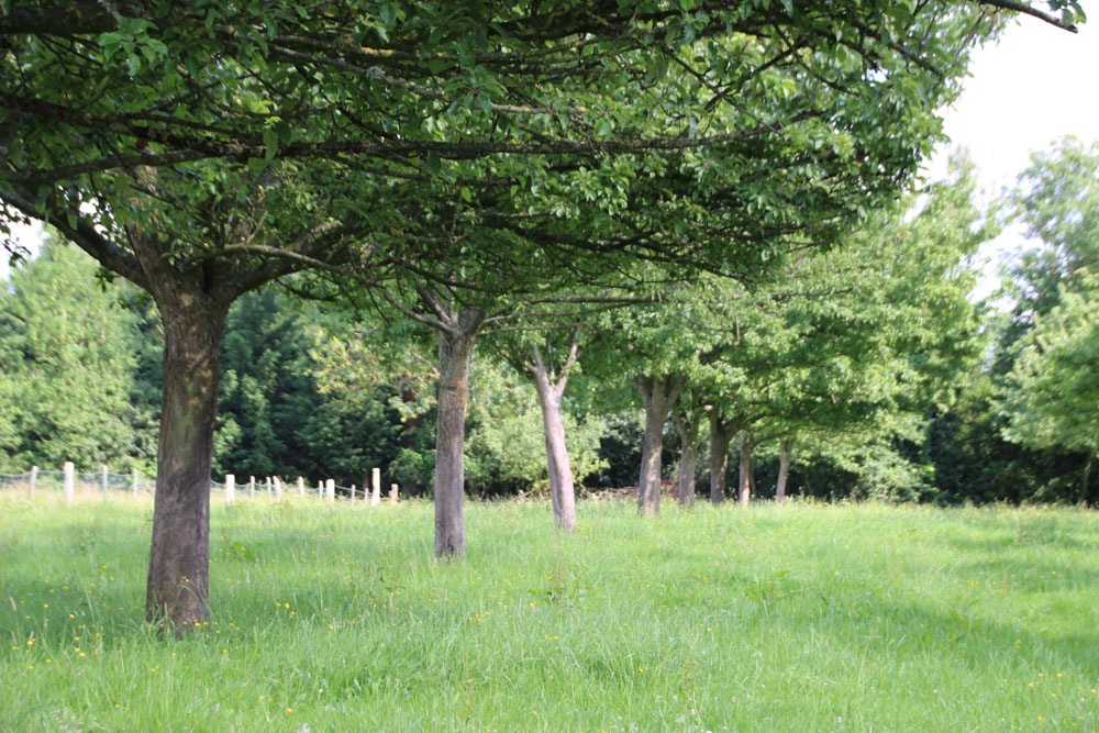 ferme vallee tanneur